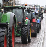 ¿Qué sabemos de los requisitos sanitarios de las importaciones de Mercosur?