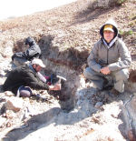 Una flor fósil de 101 millones de años conecta la Patagonia y Teruel