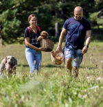 Estar en la naturaleza cambia la actividad cerebral asociada a la atención y el estrés