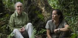 Las otras Jane Goodall