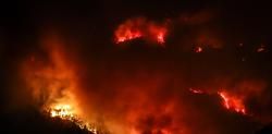 El devastador incendio en el Baix Ebre, en imágenes