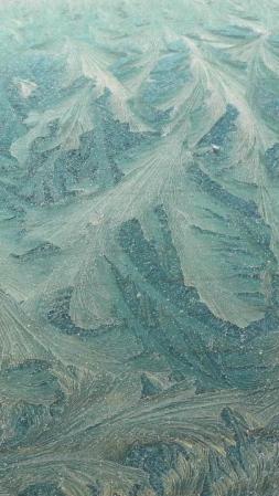 Adivina adivinanza, ¿quién ha pintado este cuadro de hojas?