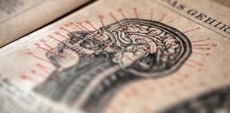 Sección del cráneo en un antiguo libro de anatomía