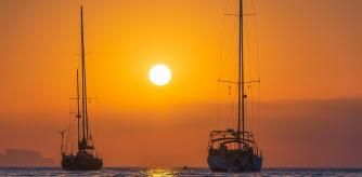 El taró se deja ver por Málaga.