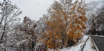 Nevada en el Ripollès.