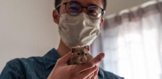 Cheung miembro de una comunidad de hámsteres en línea que se ha ofrecido como voluntario para criar animales pequeños abandonados a la luz de las instrucciones del gobierno local.