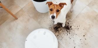 Robot aspirador para mascotas