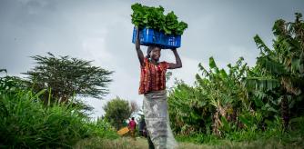Los pequeños agricultores son los principales productores de frutas y hortalizas en el continente