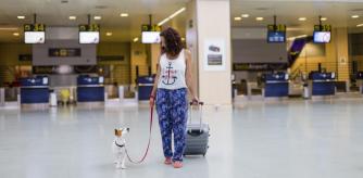 Seguro europeo para tu mascota Masctosegur