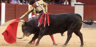 El torero Francisco José Espada durante la corrida del décimo tercer festejo de la Feria de San Isidro, este miércoles, en la Monumental de Las Ventas, en Madrid