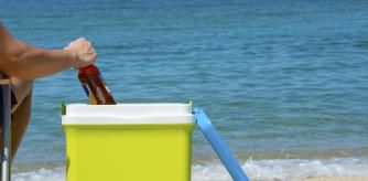 Nevera portátil para llevar alimentos y bebidas frescas a la playa