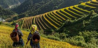Viajes a la naturaleza a un precio insuperable.