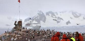 turistas Antártida cruceros