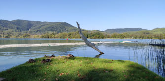 Club Natació Banyoles