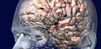 Imagen de un cerebro