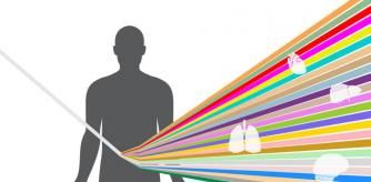 Imagen del proyecto GTEx