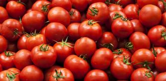 Tomates