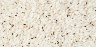 Gorgojos en el arroz