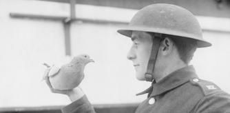 Un soldado británico con una paloma mensajera, en 1917