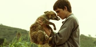 Fotograma de 'Petit indi', un drama con protagonista adolescente dirigido por Marc Recha en 2009