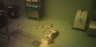 Imagen de un perro sufriendo hemorragias debido a las pruebas de toxicidad a las que lo han sometido en Vivotecnia.