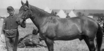 Comanche, hacia 1879