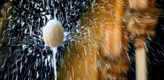 Ou com Balla en el claustro del monasterio de Pedralbes.