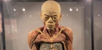 Si fue una venerable anciana de Pekín, una uigur o una traficante de drogas ejecutada por el régimen nunca lo sabremos. Medía alrededor de un metro sesenta centímetros, era mujer (eso es obvio) y nos recibe desnuda y partida por una sierra de corte perfecto por su exacta mitad. Cuesta imaginar juntas las dos mitades de su rostro y descifrar, mentalmente, qué nos dice su rictus. Qué nos dice su última expresión. Quedó congelada para siempre mediante la técnica de la plastinación, un invento del anatomista alemán Gunther Von Hagens, y hoy está en Barcelona.