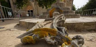 LV_Destrozan La Creu de Terme, frente al Monestir de Sant Cugat