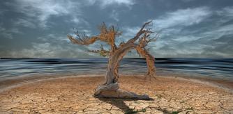 Sequía e inundaciones: dos fenómenos en crecimiento con el cambio climático  .