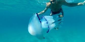 Detalle de un nadador y una gran medusa en Tarragona.