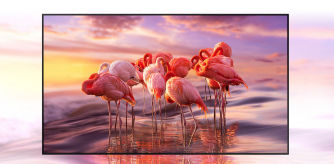 Televisor Samsung QLED 4K 2020 65Q64T