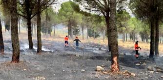 LV_Los bomberos dan por controlado el incendio de Málaga