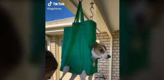 Esta usuaria desvela el truco que usa para cortarle las uñas su perro