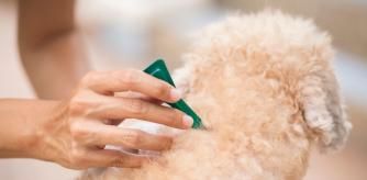 A los animales se les puede desparasitar de varias formas