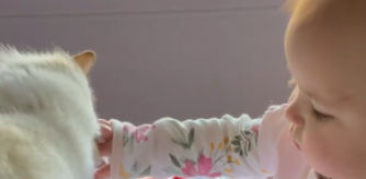 El tierno vídeo de un gato enseñando a un bebé cómo acariciarlo ha enamorado a las redes