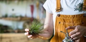 Mujer cuidando de las plantas