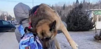 D cargando a Pulya en la frontera de Ucrania