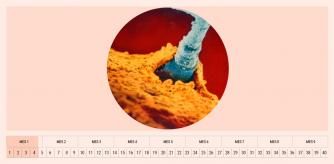 Semana 4 de embarazo