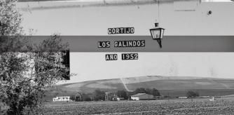 Los Galindos