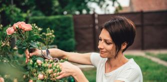 Woman wearing white shirt smiling and pruning roses in the backyard garden