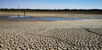 Sequía en el Parque Natural de Doñana