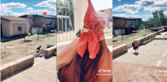 La inesperada reacción del animal ha enamorado a las redes