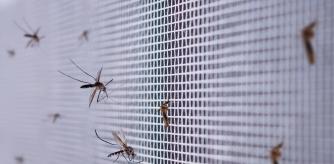 Las mosquiteras son la mejor solución para evitar que los mosquitos entren en tu casa.