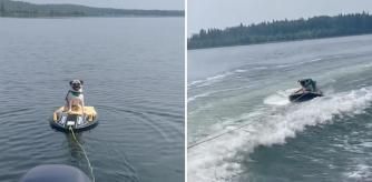 Levi practicando kneeboarding