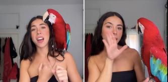 Luna Aguado y guacamayo