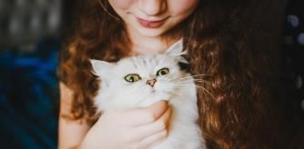 Algunas razas de gatos son más idóneas para convivir con niños por su afabilidad.