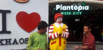 img_fflores_20230924-181824_imagenes_lv_propias_plantopia