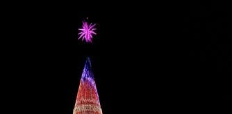 arbol badalona OPINION