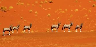 Desierto de Namibia.